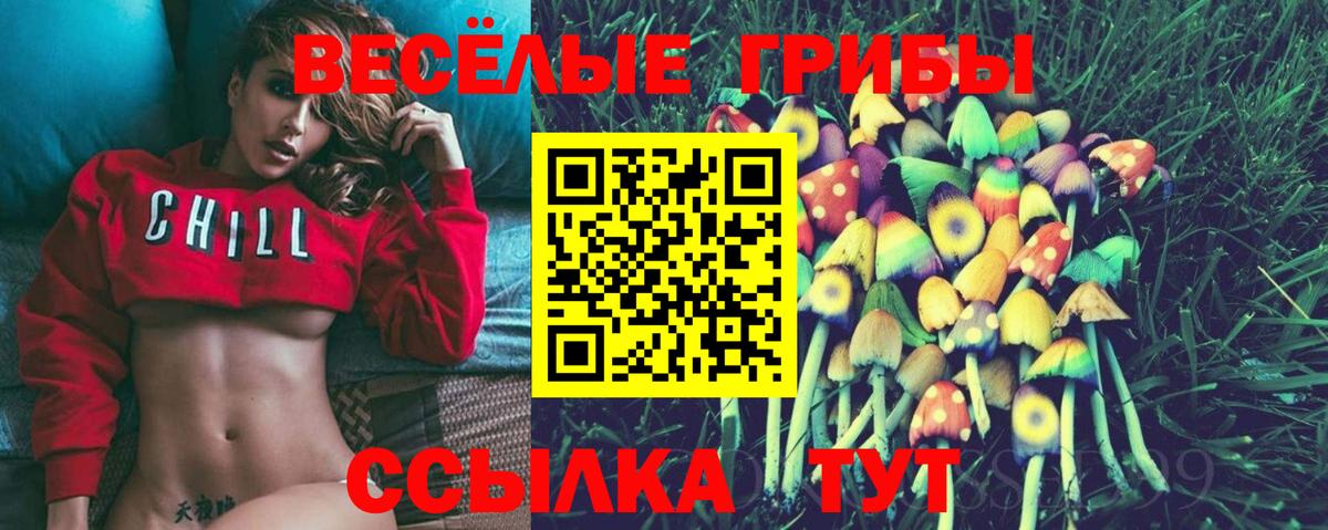 Галлюциногенные грибы MAGIC MUSHROOMS  Вход с VPN  Карталы  Псилоцибиновые грибы прущие грибы 
